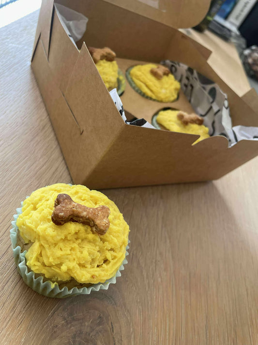 Dog Pupcakes (box of 4)